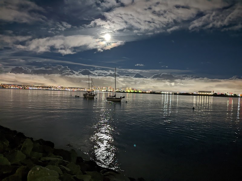 Shoreline Park — photo 5