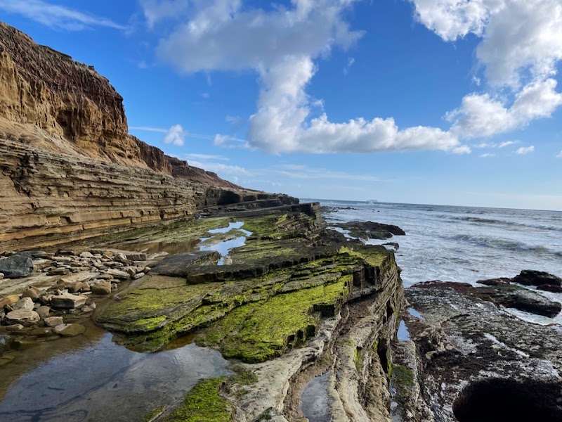 Point Loma Ecological Reserve — photo 2