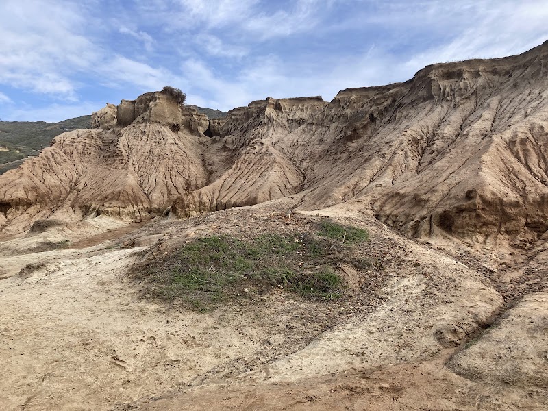 Point Loma Ecological Reserve — photo 4