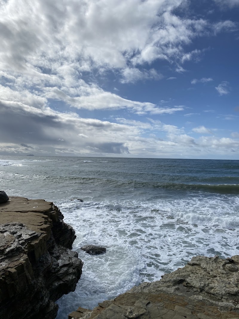 Point Loma Ecological Reserve — photo 5