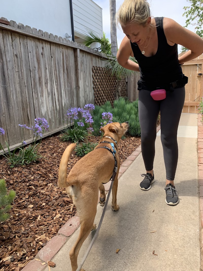 The Fairy Dogmother — photo 5