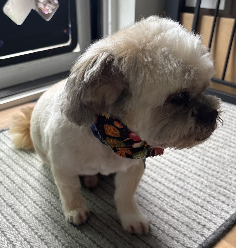 Preferred By Pets — photo 1