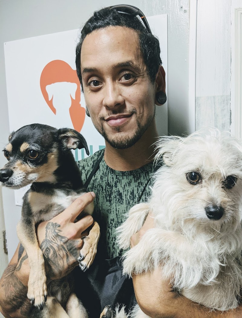 San Diego Pet Mobile Grooming — photo 1