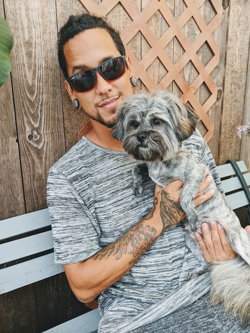 San Diego Pet Mobile Grooming — photo 4