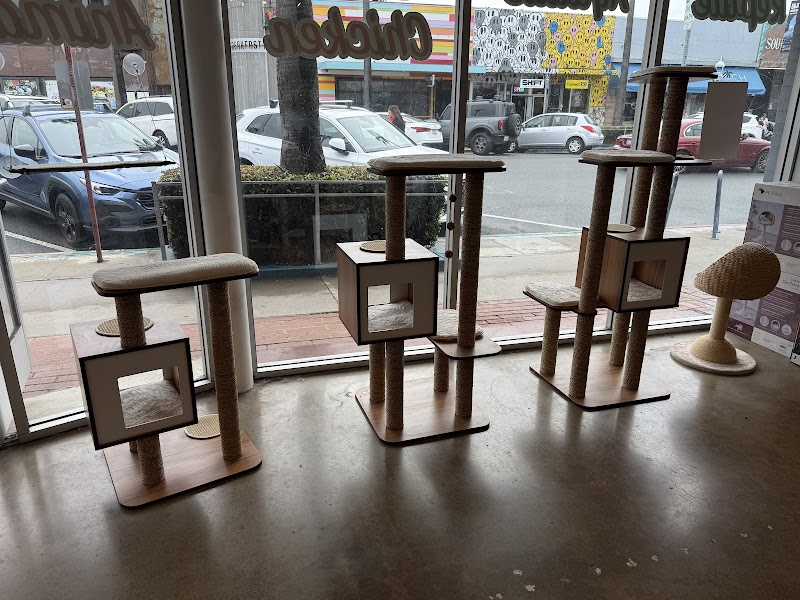 Shore Thing Pet Supply — photo 4