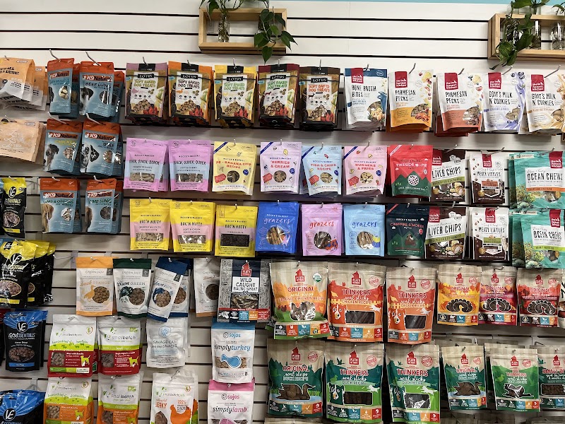 Noah's Natural Pet Market — photo 4