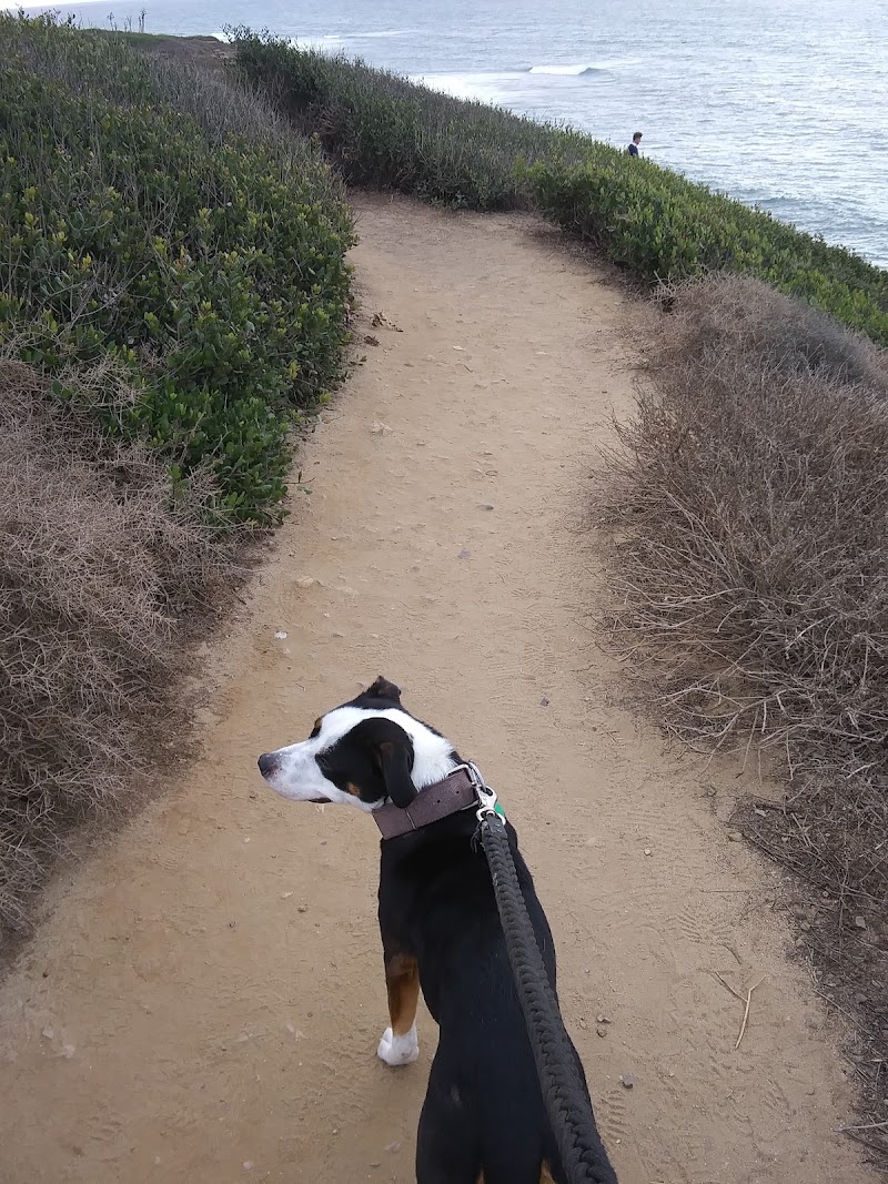 Oceanside Trail — photo 5