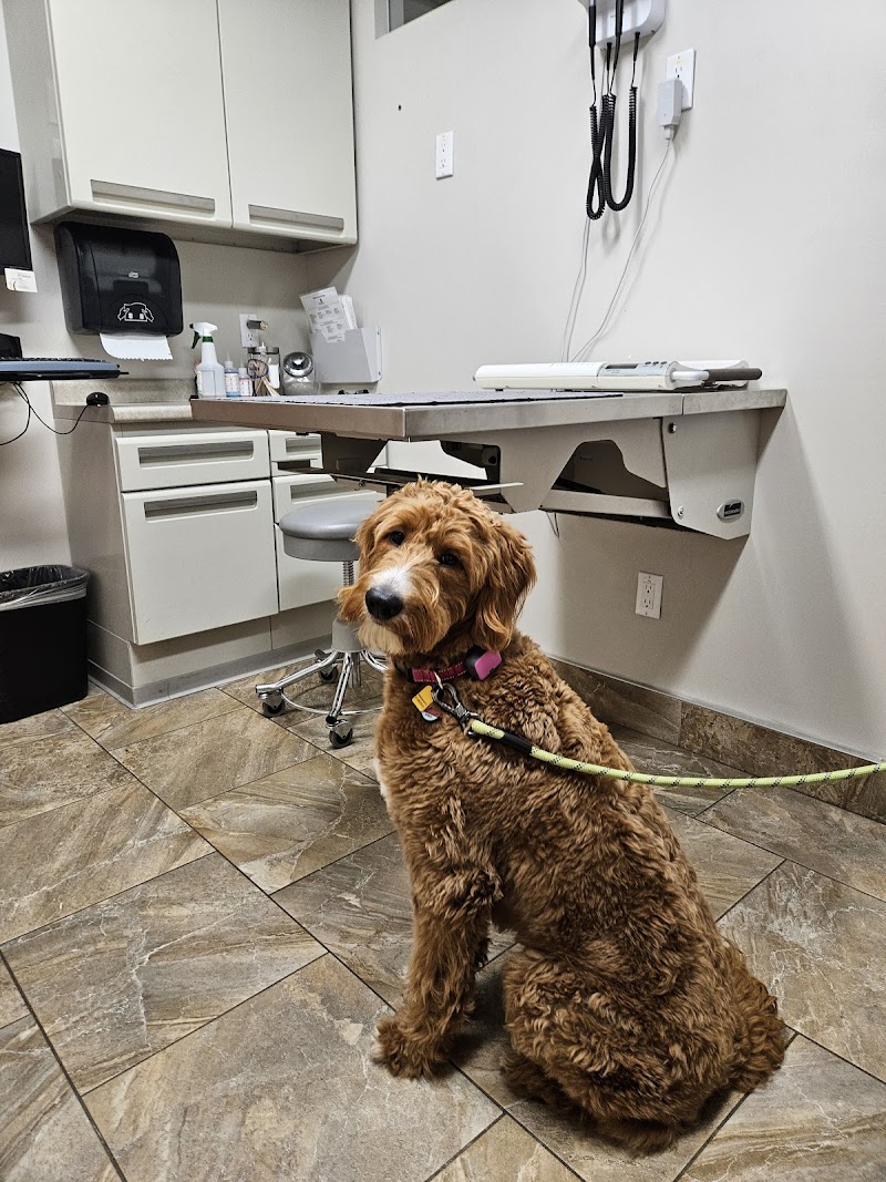 Cabrillo Pet Hospital — photo 2