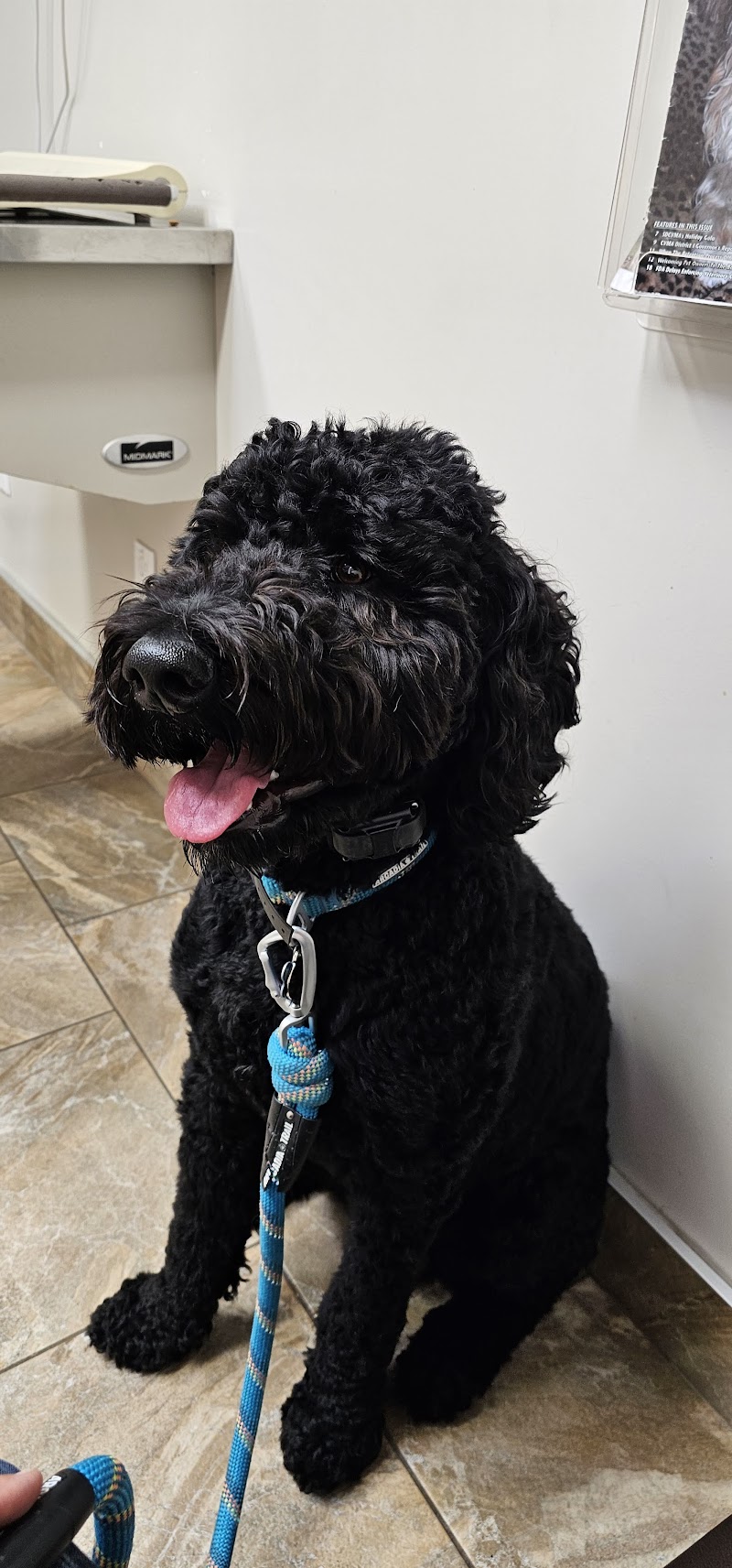 Cabrillo Pet Hospital — photo 3