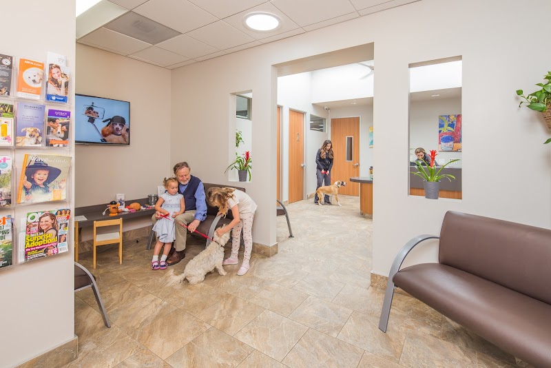 Cabrillo Pet Hospital — photo 4