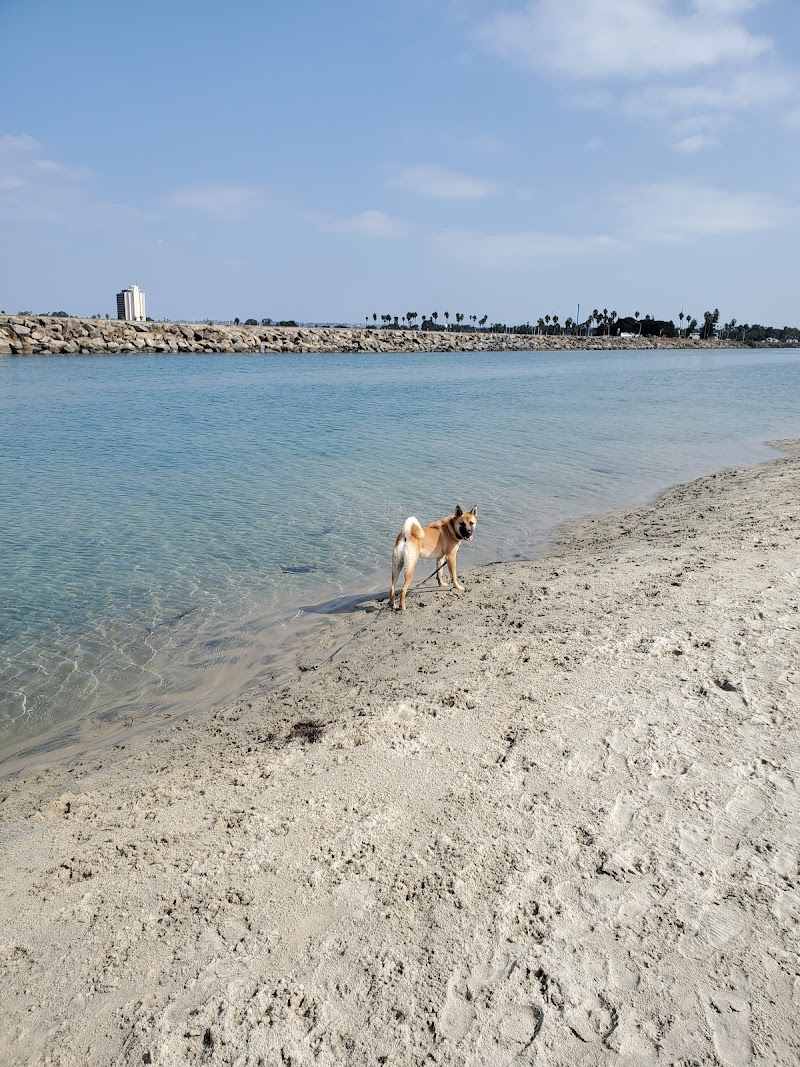 Ocean Beach | Dog Beach — photo 3