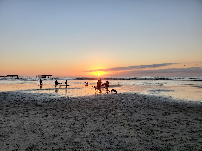 Ocean Beach | Dog Beach — photo 4
