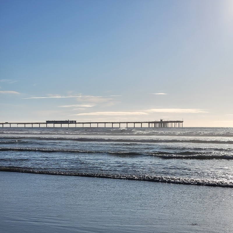 Ocean Beach | Dog Beach — photo 5