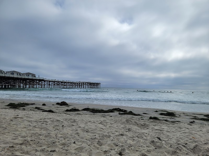 Bonita Cove — photo 5
