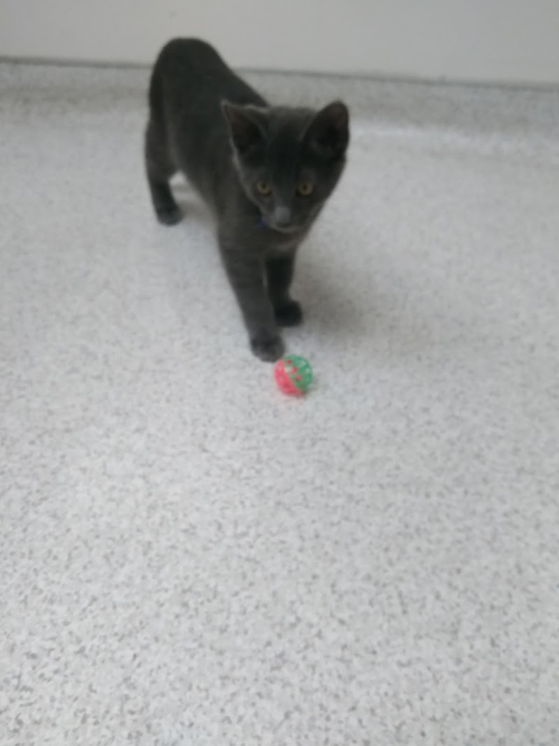 Point Loma Veterinary Clinic — photo 1