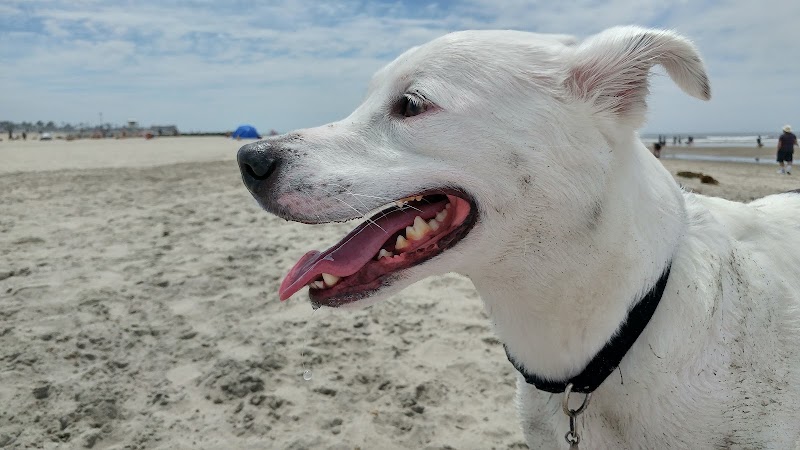 Point Loma Veterinary Clinic — photo 3