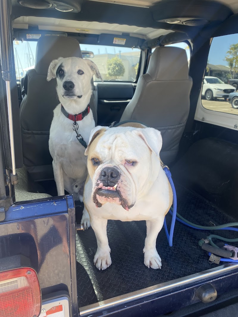 VCA Peninsula Animal Hospital — photo 3
