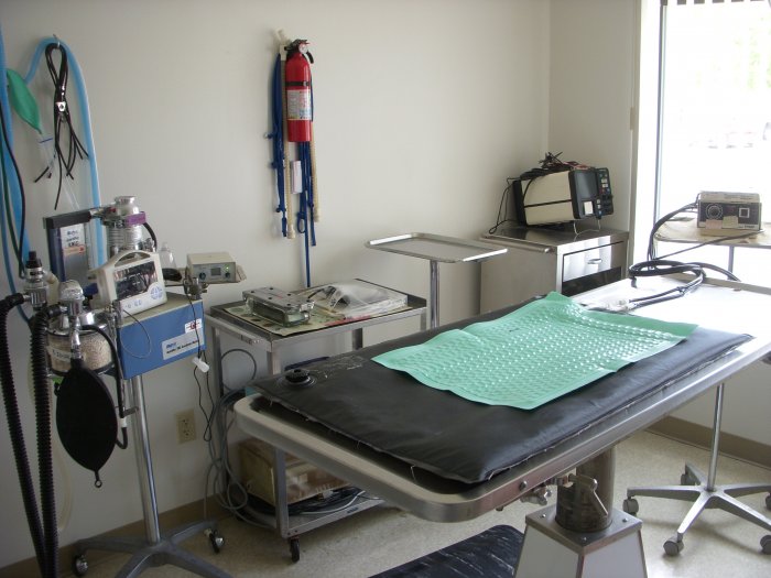 VCA Peninsula Animal Hospital — photo 4