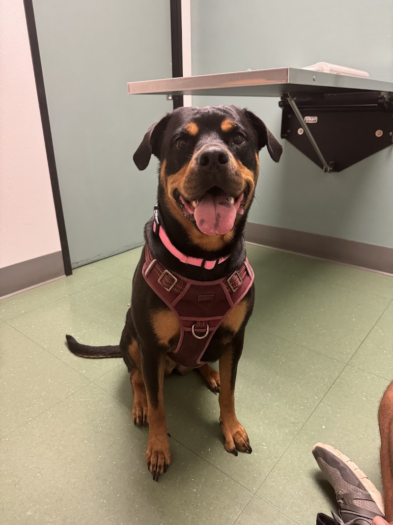 Sunset Cliffs Animal Hospital — photo 2