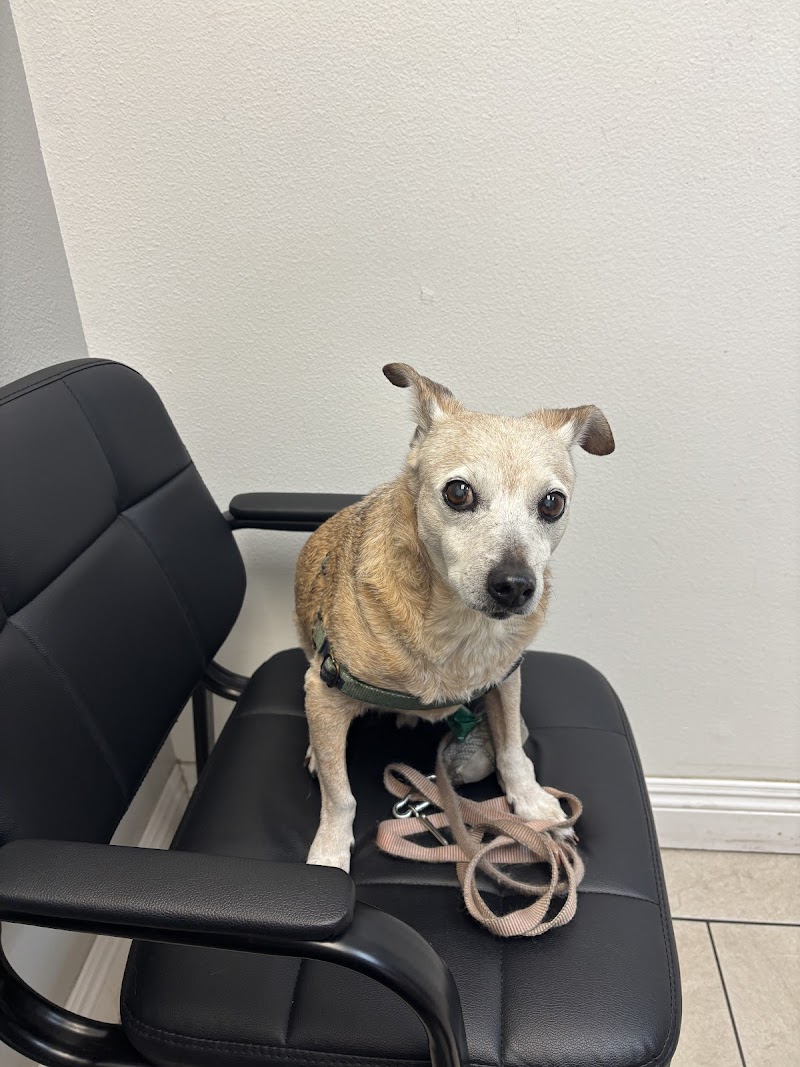 Our Pet Vets — photo 1