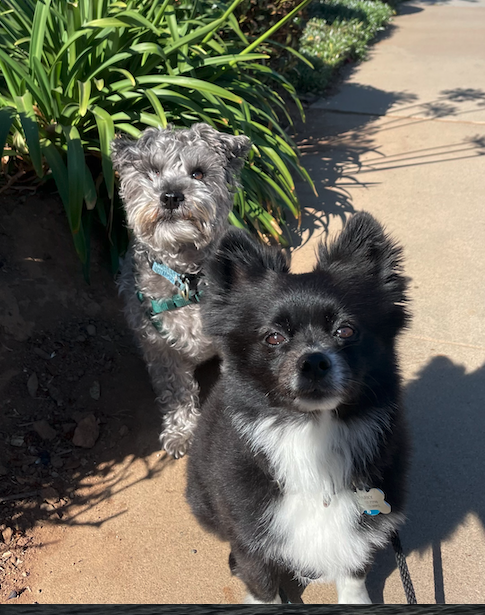 J. Wright Pet Care — photo 2