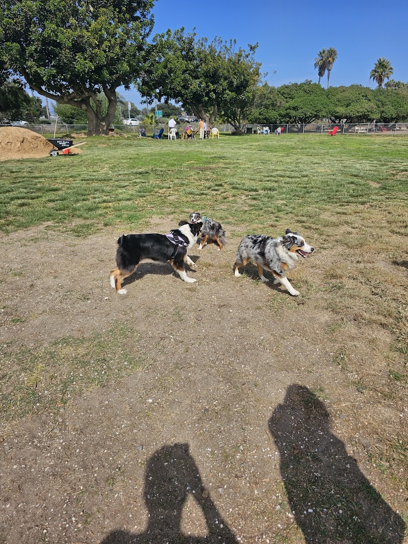 My Dog Park — photo 1