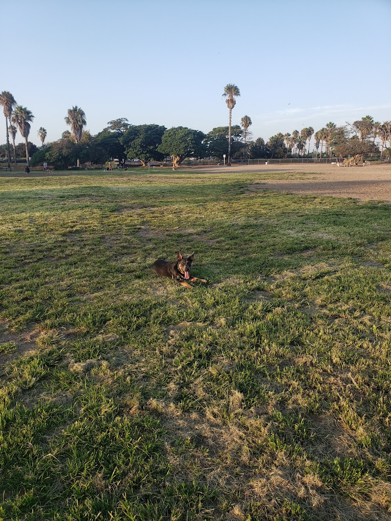 My Dog Park — photo 2