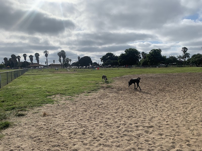 Dusty Rhodes Park — photo 3