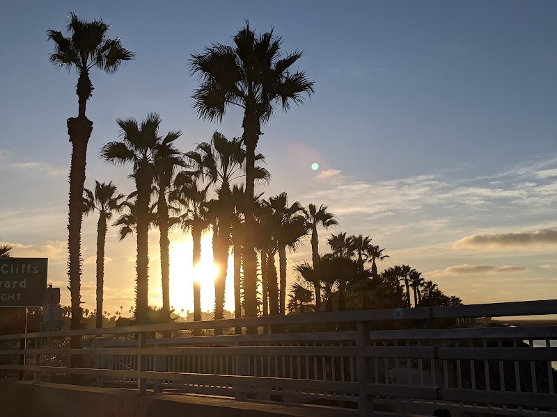 Dusty Rhodes Park — photo 4