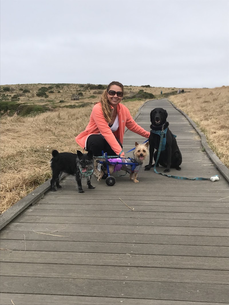 Home Sweet Home Veterinary Housecalls — photo 1