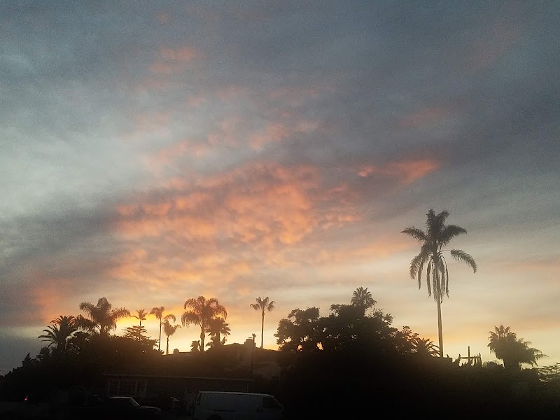 Plumosa Park — photo 2