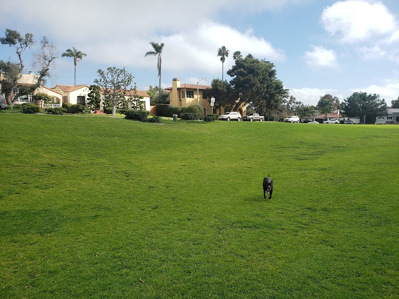 Plumosa Park — photo 5