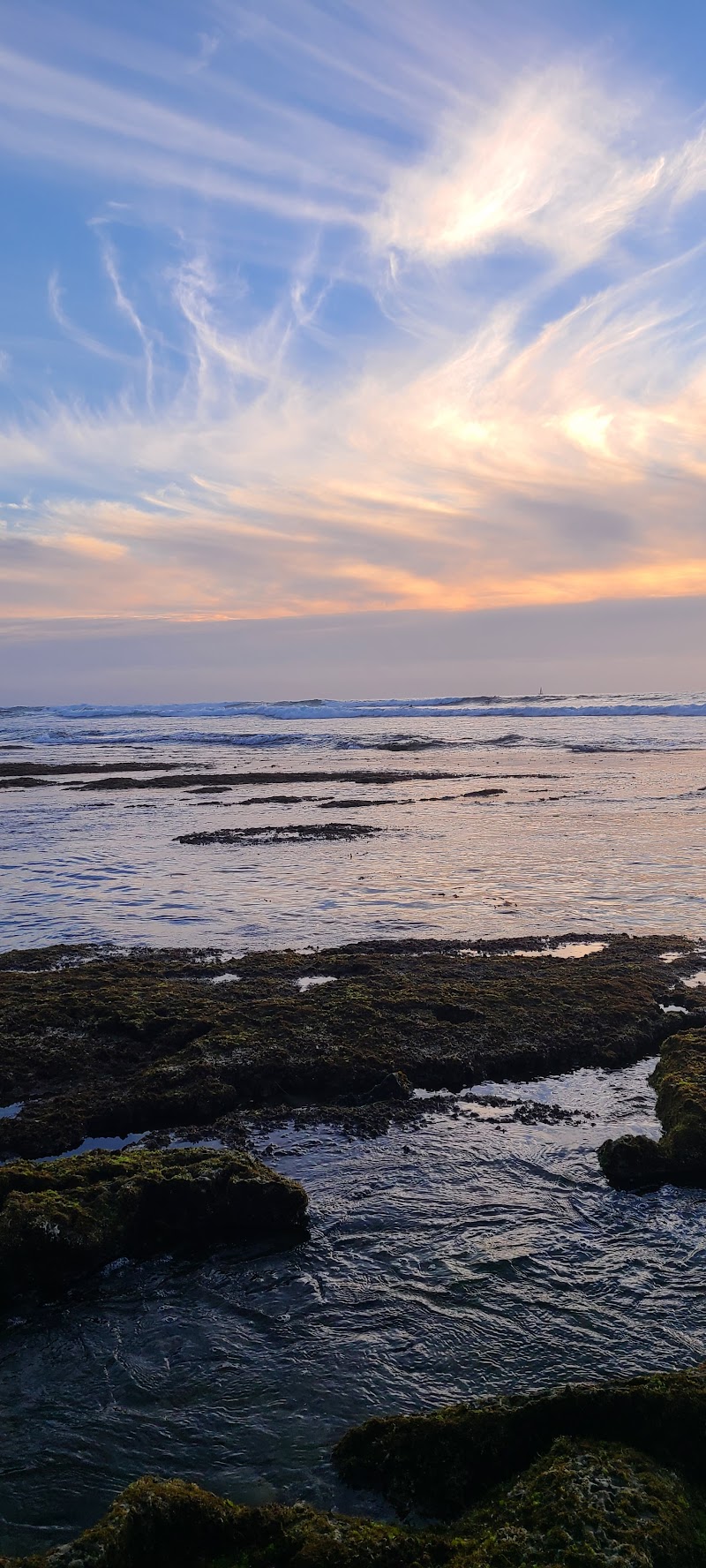 Ocean Beach City Beach — photo 4