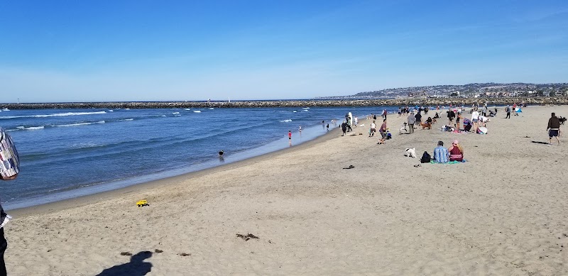 Dog Beach — photo 3