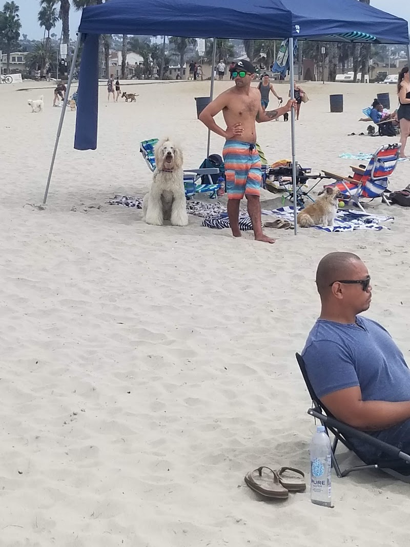 Dog Beach — photo 5