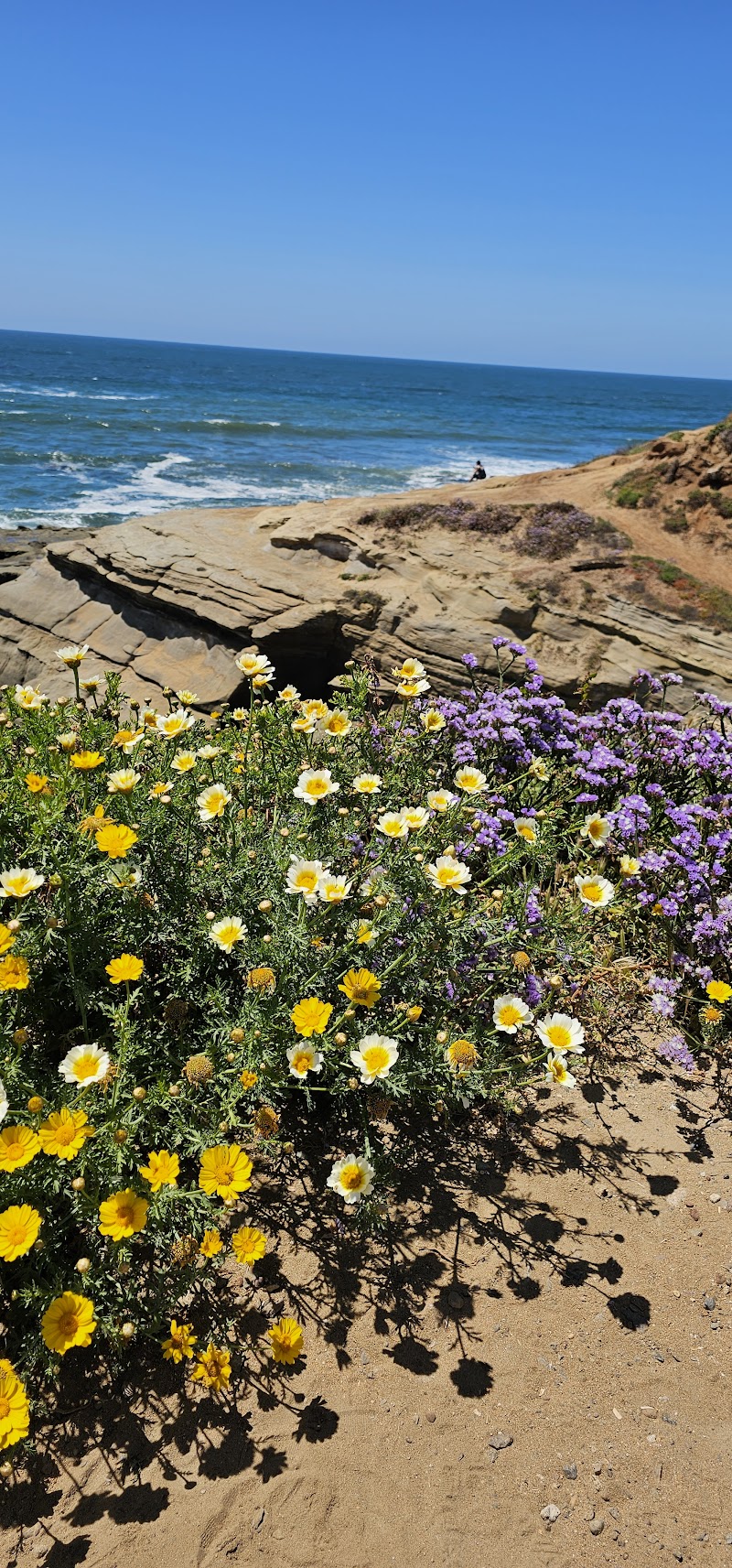 Rum Runner Cove — photo 4