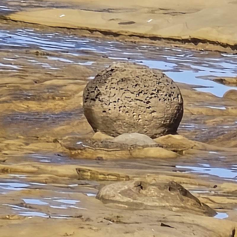 Rum Runner Cove — photo 5