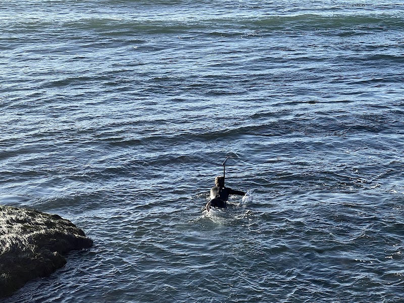 Swordfish Point — photo 2