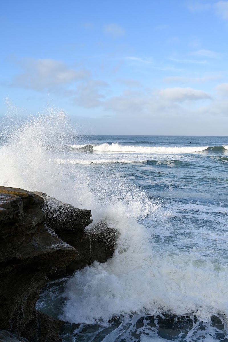 Swordfish Point — photo 4
