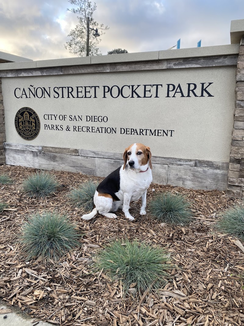Cañon Street Park — photo 4