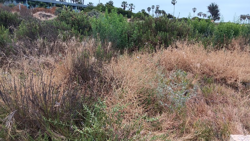 The Sand Dunes — photo 4