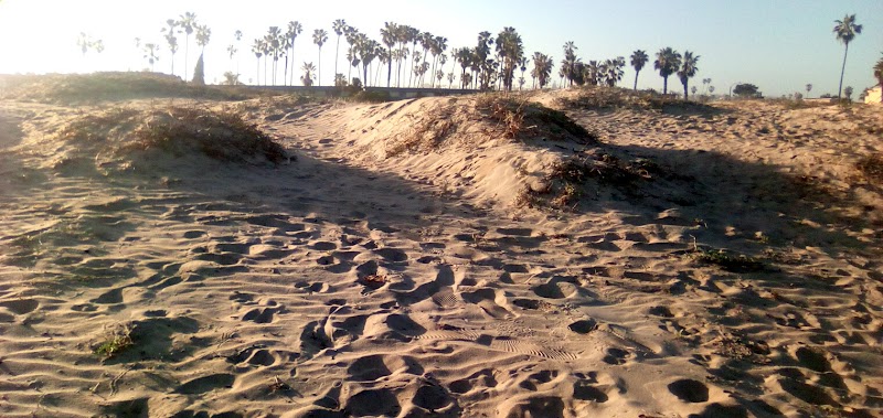 The Sand Dunes — photo 5