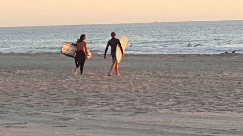 Scoggin Kevin DVM — photo 1