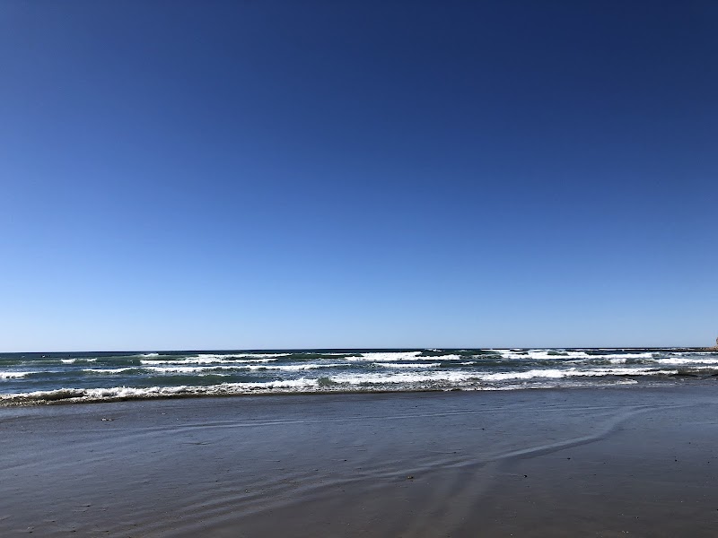 Tourmaline Surf Park — photo 4