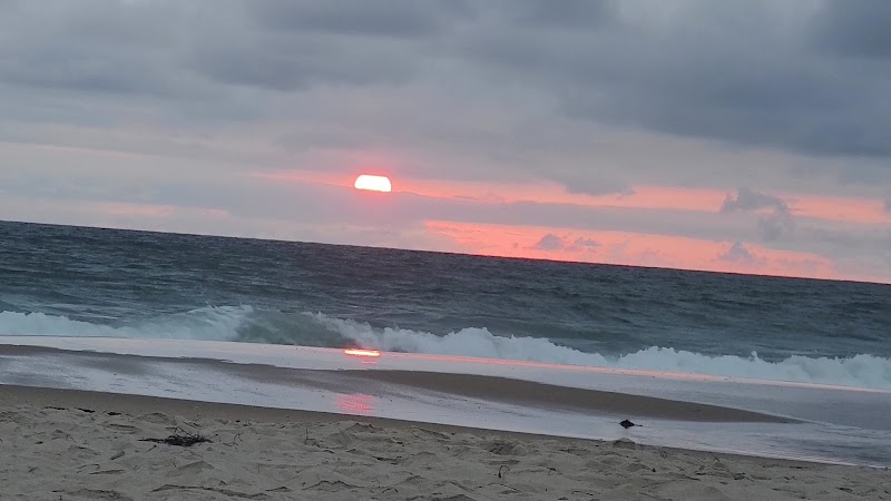 Mission Beach Park — photo 4