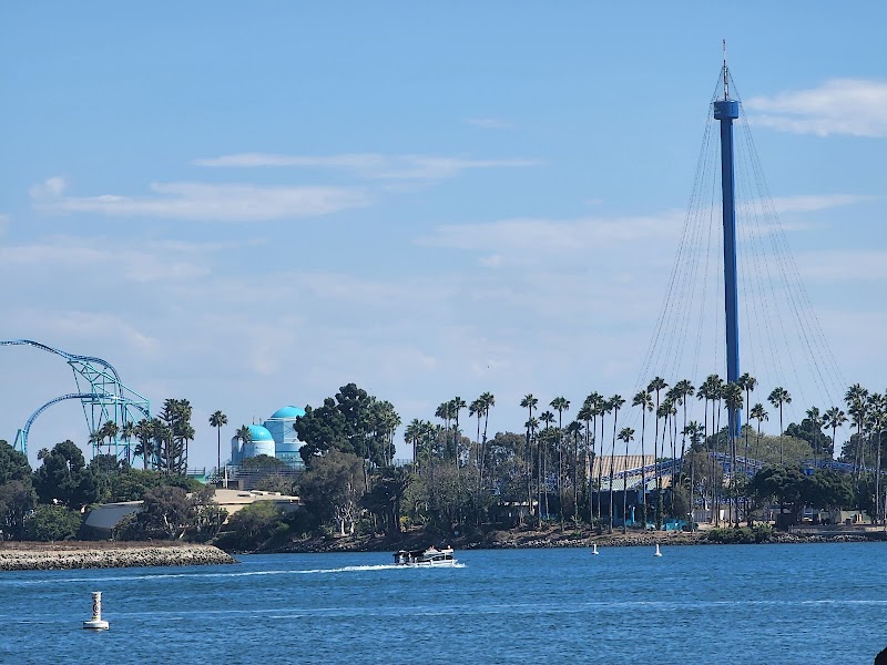 Ski Beach Park — photo 3