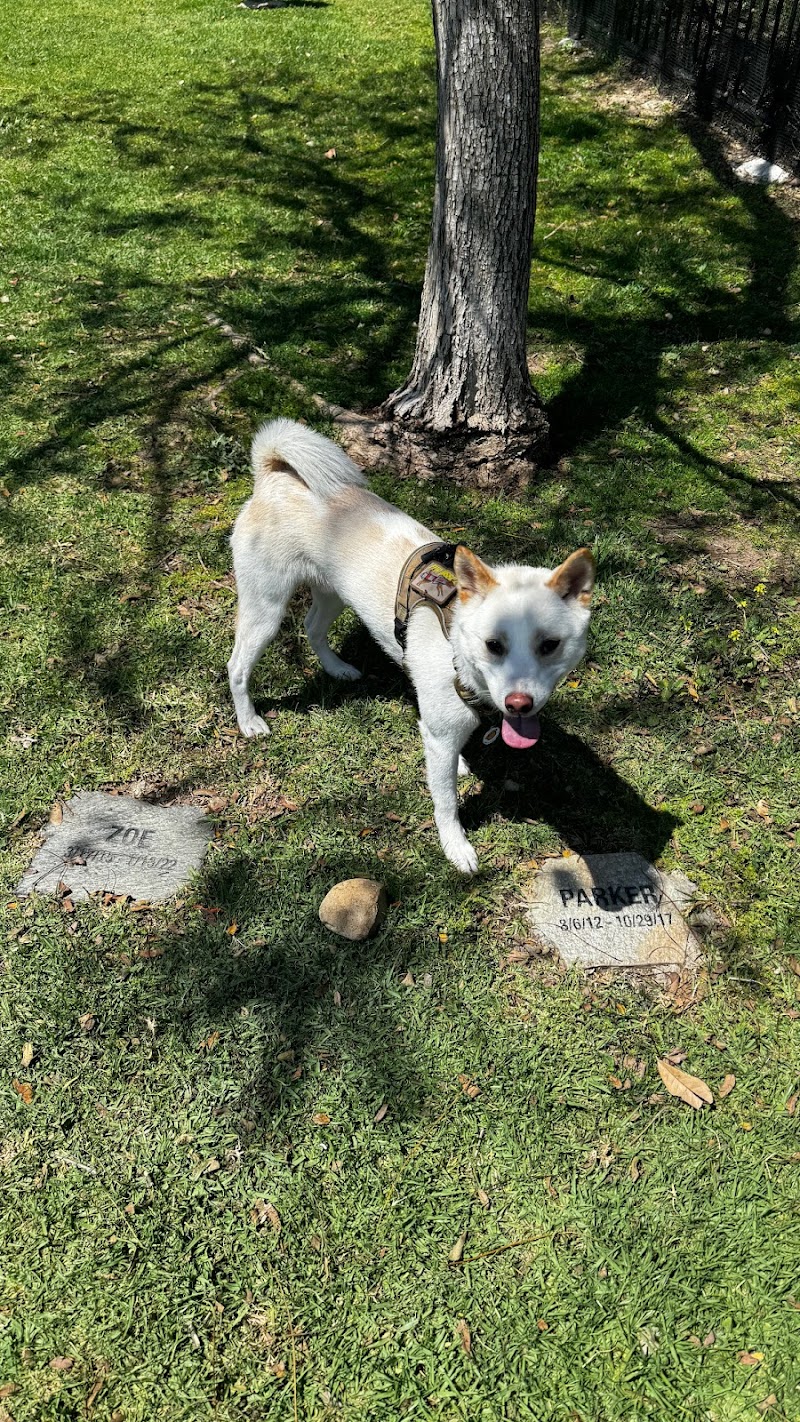 Escala Dog Park (Private) — photo 4