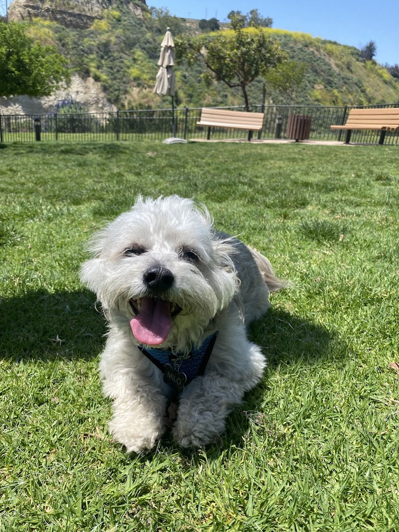 Escala Dog Park (Private) — photo 5