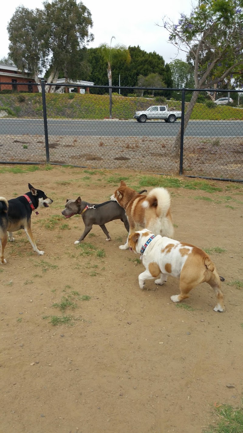 Capehart (Soledad) Dog Park — photo 5