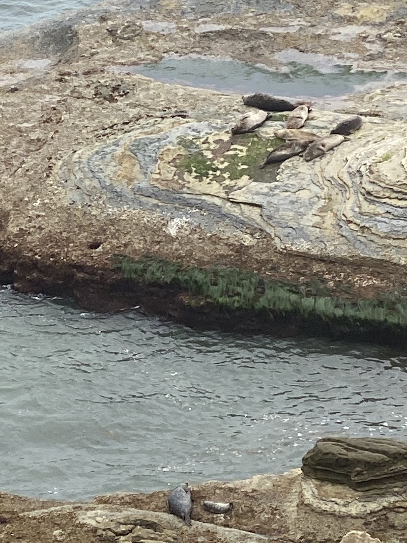 Marine Protected Area North Boundary — photo 4